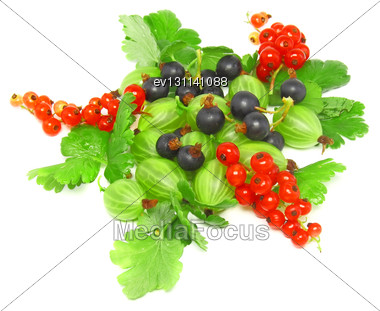 Berry Mix- Red And Black Currant, With Leaf On White Background. Top View. Isolated Stock Photo