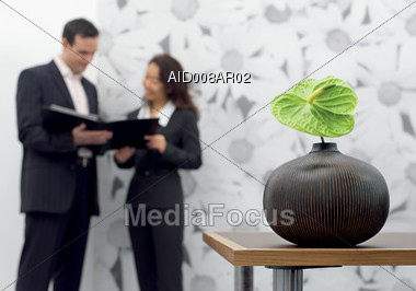 Business Man & Woman In Background Discussion With Plant In Foreground Stock Photo