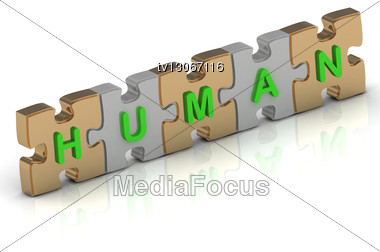 HUMAN Word Of Gold Puzzle And Silver Puzzle Stock Photo
