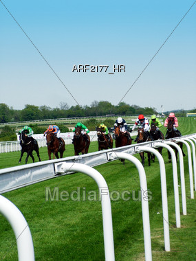 Race Horses Coming Down The Track Stock Photo
