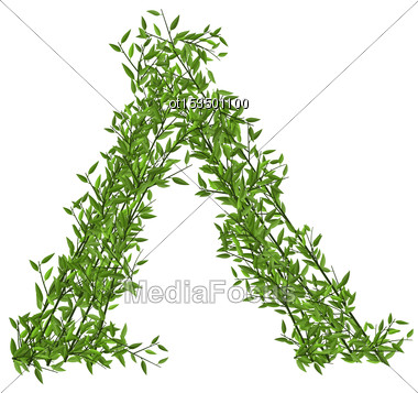 Wickiup Hut Of Branches Bamboo With Green Leafs - Vector Stock Photo