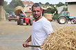 Stock Photo : Bearded Dragon Stock Image: Farmer Taking Straw With A Fork