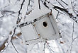 Stock Photo : Small Pictures: Home Made Wooden Bird House On A Tree.