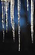 Stock Photo : Cool Stock Photography: Icicles