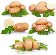 Leaf Stock Photo: Set Of Ripe Potatoes Vegetable With Green Leafs