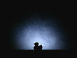 Stock Photo : Children Stock Image: Shadow Of A Rubber Duck
