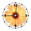 Stock Photo : Face Pictures: Single Orange Flower As A Office Clock Close-up Studio Photography