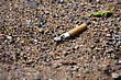 Smoked Cigarette Smashed And Littered On The Ground - stock image