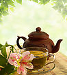 Stock Photo : Lush Stock Photography: Tea Ceremony. Green Tea, Flower And Teapot