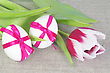 Two Easter Eggs With Purple Bows And Tulip
